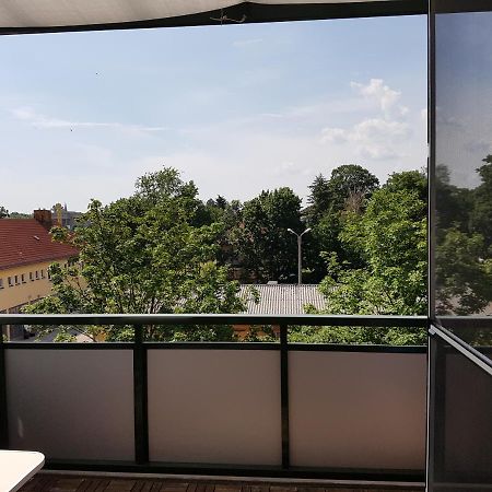 Fewo Dresden-Trachau Екстер'єр фото