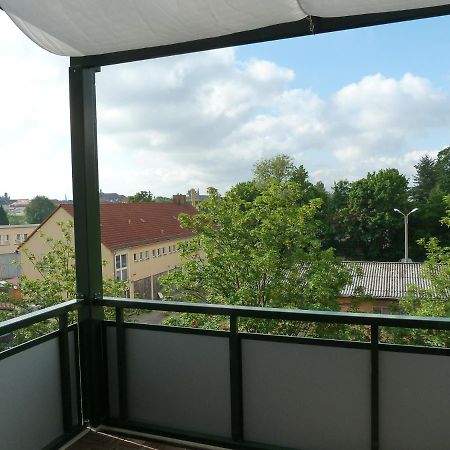 Fewo Dresden-Trachau Екстер'єр фото