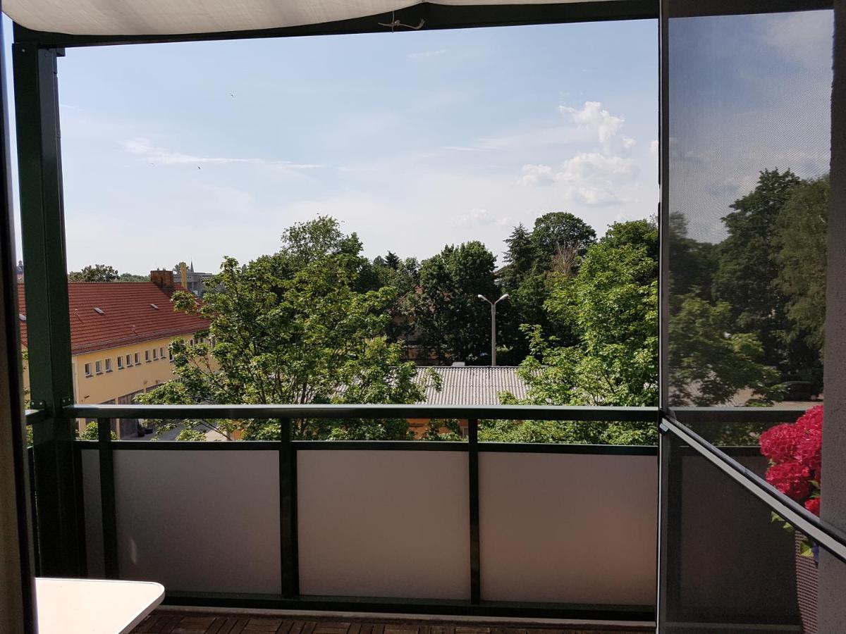 Fewo Dresden-Trachau Екстер'єр фото